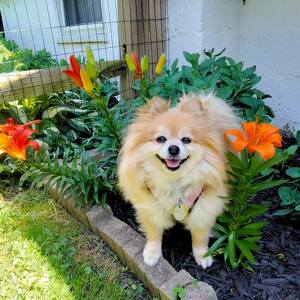 Fundraising Page: MIA Kissa